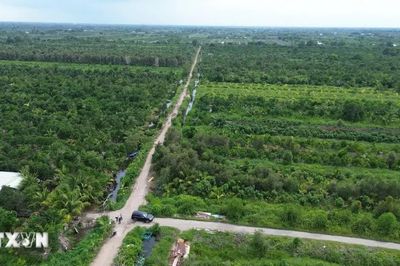Khu công nghiệp Tân Phước 1 dự kiến đón nhà đầu tư thứ cấp từ quý 1/2027