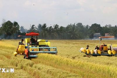 Cần Thơ đặt mục tiêu trở thành trung tâm kinh tế tầm thấp của khu vực