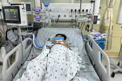 TP Hồ Chí Minh: Cứu 3 trẻ bị rối loạn đông máu do ăn phải thịt chuột dính độc