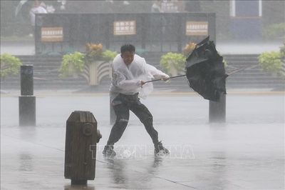 Bão Dolphin suy yếu nhưng tiếp tục gây mưa lớn, nguy cơ lũ lụt tại Trung Quốc
