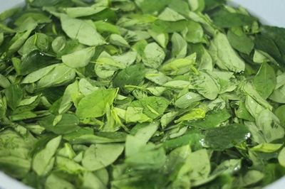 Loại rau quen thuộc từng làm hàng rào, nay được săn tìm vì được ví như 'cây thuốc'