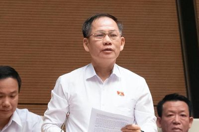 Lao động Việt phạm pháp ở nước ngoài, đại biểu đề nghị áp dụng biện pháp cấm xuất cảnh