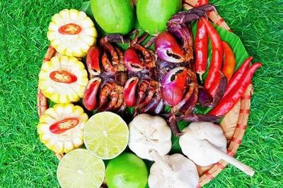 Từ chỗ bị xem thường thành 'lộc rừng' nuôi sống người dân ven biển