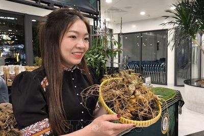 Khi sinh viên mang chuyển đổi số lên miền núi