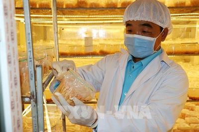 Cú hích kinh tế số trên vùng đất Đồng Tháp