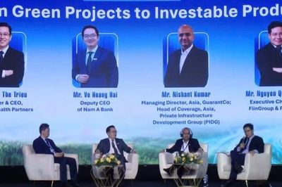 'Tiền xanh' không thiếu, Việt Nam cần làm gì để hút vốn?