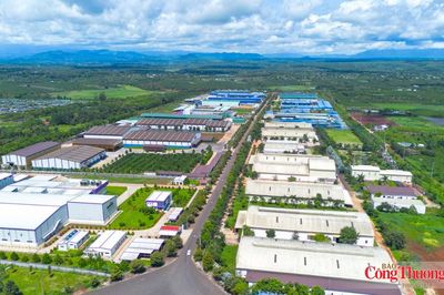 Gia Lai: Công nhận kết quả trúng đấu giá hơn 23 ha đất Cụm công nghiệp Bùi Thị Xuân