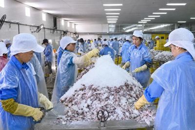 Hà Tĩnh tạo lực đẩy cho sản phẩm công nghiệp nông thôn