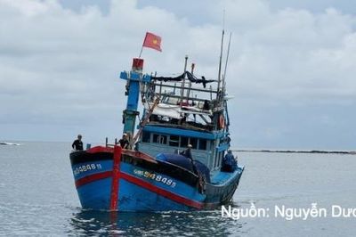 Gỡ 'thẻ vàng' IUU: Kiểm soát chặt thủy sản xuất khẩu sang EU