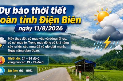 Bản tin Dự báo thời tiết ngày 11/8/2026