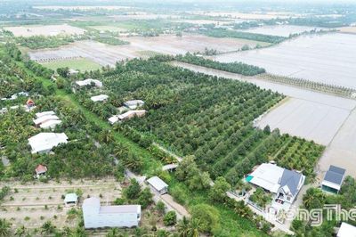 Nông nghiệp Đồng Tháp nỗ lực bứt tốc về đích