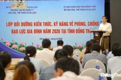Đồng Tháp: Bồi dưỡng kiến thức, kỹ năng phòng, chống bạo lực gia đình