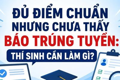 Infographic Đủ điểm chuẩn nhưng chưa thấy báo trúng tuyển: Thí sinh cần làm gì?