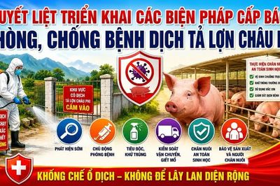 Quyết liệt triển khai các biện pháp cấp bách phòng, chống bệnh Dịch tả lợn Châu Phi
