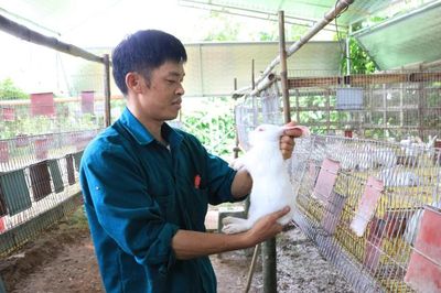 Phát triển sản xuất ở Văn Quan