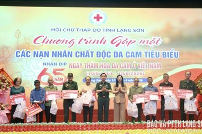 Gặp mặt nạn nhân chất độc da cam tiêu biểu nhân dịp 65 năm Ngày Thảm họa da cam ở Việt Nam