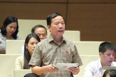 Đại biểu Quốc hội tỉnh góp ý một số dự án luật