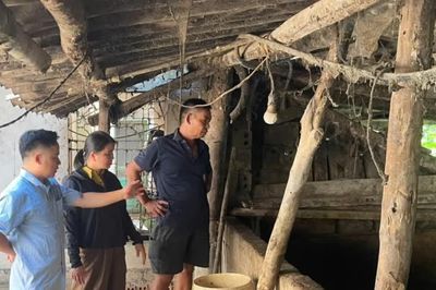 Bảo Yên ra quân kiểm tra, xử lý các trường hợp chăn nuôi lợn trong khu dân cư gây ô nhiễm môi trường