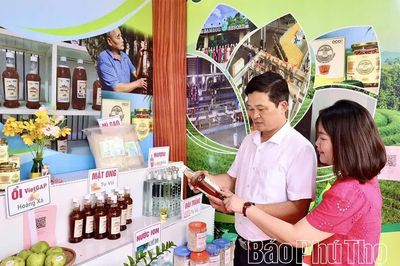 Ngọt thơm mật ong rừng Thanh Thủy