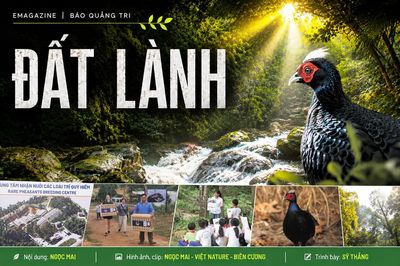 Đất lành