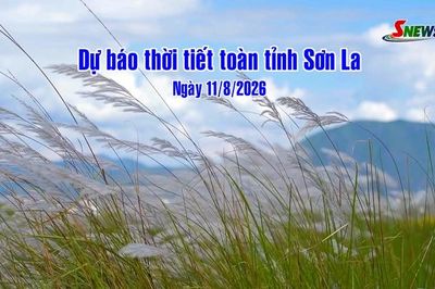 Dự báo thời tiết toàn tỉnh Sơn La ngày 11/8/2026
