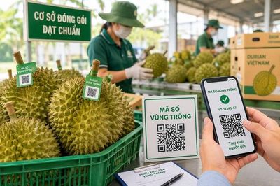 Giao Bộ Công an xử lý nghiêm gian lận mã số vùng trồng, cơ sở đóng gói