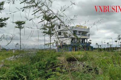 Đất bỏ hoang có thể bị đánh thuế, giới đầu cơ có lo?
