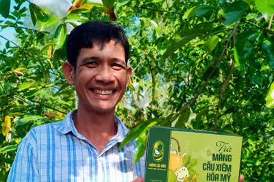 Thông tư 20/2026: Gỡ thủ tục, 'mở đường' cho HTX bảo hộ tài sản trí tuệ