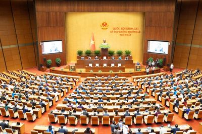 Cần làm rõ ranh giới giữa hòa giải và xử lý vi phạm pháp luật