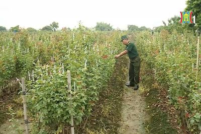 Người hội viên tận tâm vì nạn nhân chất độc da cam