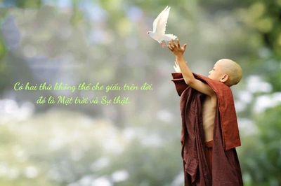 Từ bi không chỉ bằng lời nói