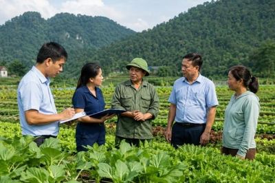 Tuyên Quang đề nghị lựa chọn, đề cử điển hình tiên tiến phát triển nông nghiệp hữu cơ