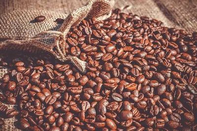 Giá cà phê hôm nay 10/8: Neo ở mức cao