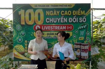 Xã Thuận An: Mở rộng thị trường cho nông sản bằng chuyển đổi số