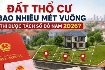 Năm 2026, đất thổ cư bao nhiêu m2 thì được tách sổ đỏ theo quy định mới nhất