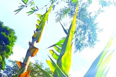 Giữa cánh đồng làng