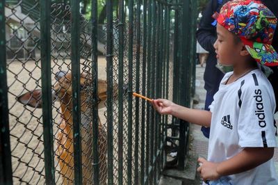 Góc nhìn 365: Công viên Thủ Lệ và hành trình nối dài ký ức đô thị