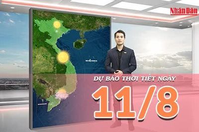 [Video] Dự báo thời tiết ngày 11/8/2026: Nắng nóng gay gắt bao trùm diện rộng tại Bắc Bộ và Trung Bộ, có nơi trên 38 độ