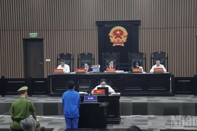 Vụ 'vẽ' dự án sâm Ngọc Linh: Trả lại hồ sơ để điều tra bổ sung
