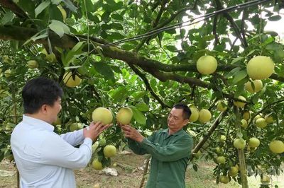 Tuyên Quang phấn đấu giảm tỷ lệ hộ nghèo đa chiều bình quân hơn 3%/năm