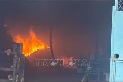 TP Hồ Chí Minh: Cháy cơ sở ván ép, lửa lan sang xưởng cơ khí