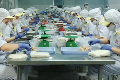 Nhóm hàng xuất khẩu nào của Việt Nam đang được nhà mua quốc tế săn lùng?