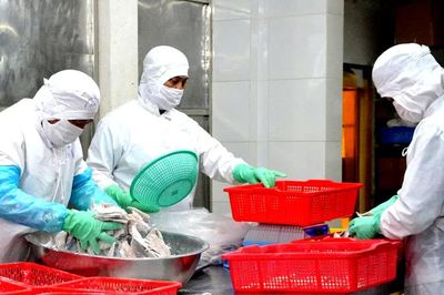 Kim ngạch xuất khẩu thủy sản vượt mốc 12 tỷ USD/năm
