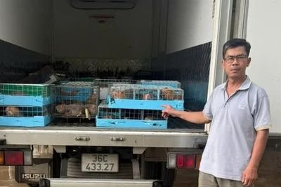 Khởi tố đối tượng buôn lậu động vật hoang dã ở Quảng Trị