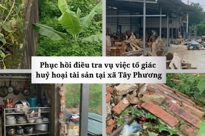 Công an TP. Hà Nội phục hồi điều tra vụ tố giác hủy hoại tài sản tại Detesco Việt Nam
