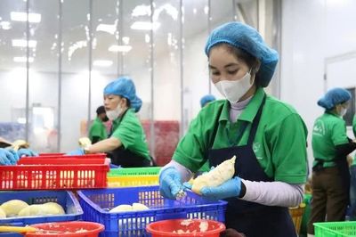 Nông sản Việt vào Italia: Hồ sơ sai một chi tiết có thể bị dừng thông quan