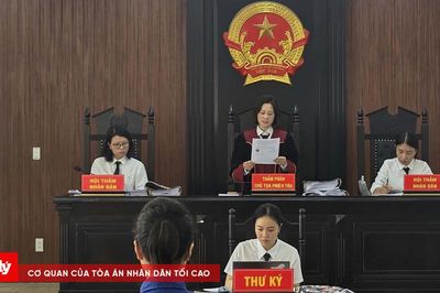 Hoãn phiên tòa xét xử giám đốc công ty tổ chức show 'Về đây bốn cánh chim trời'