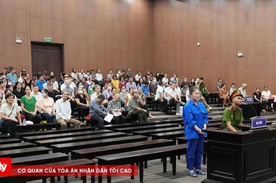 Cựu Chủ tịch Tập đoàn Mỹ Hạnh lừa góp vốn trồng sâm, chiếm đoạt hơn 194 tỷ đồng