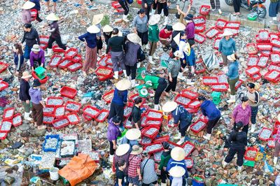 Chợ làng chài cách Hà Nội 3,5 giờ lái xe, hải sản tươi, mực từ 100.000 đồng/kg