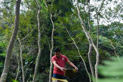 Đặc sản Tây Bắc 'sống nhờ núi đá' giúp người dân vùng cao làm giàu